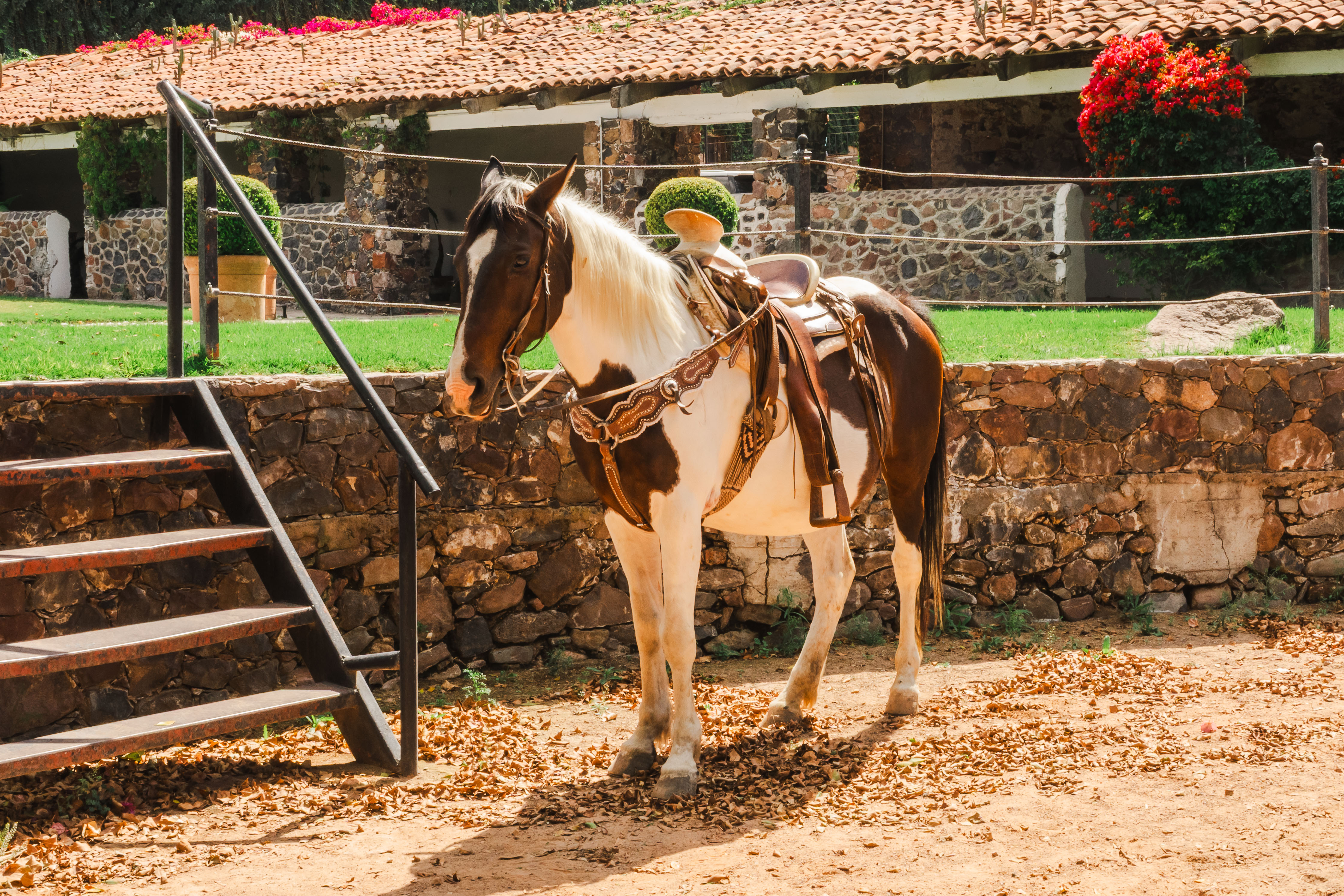 Monta a Caballo
