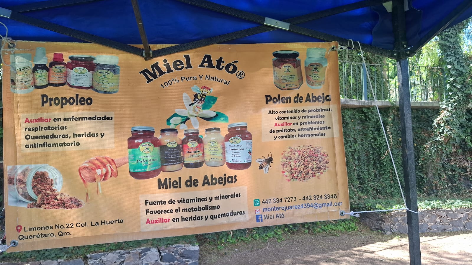 Productos de Miel Ató — miniatura 2
