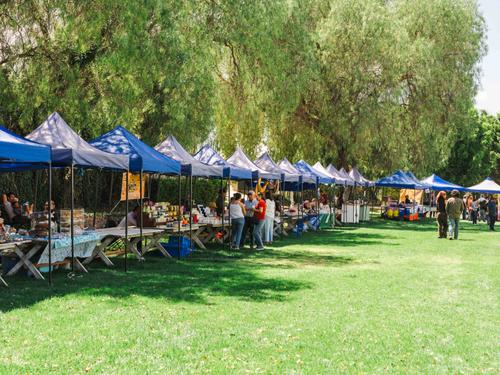 Conoce Nuestros Artesanos